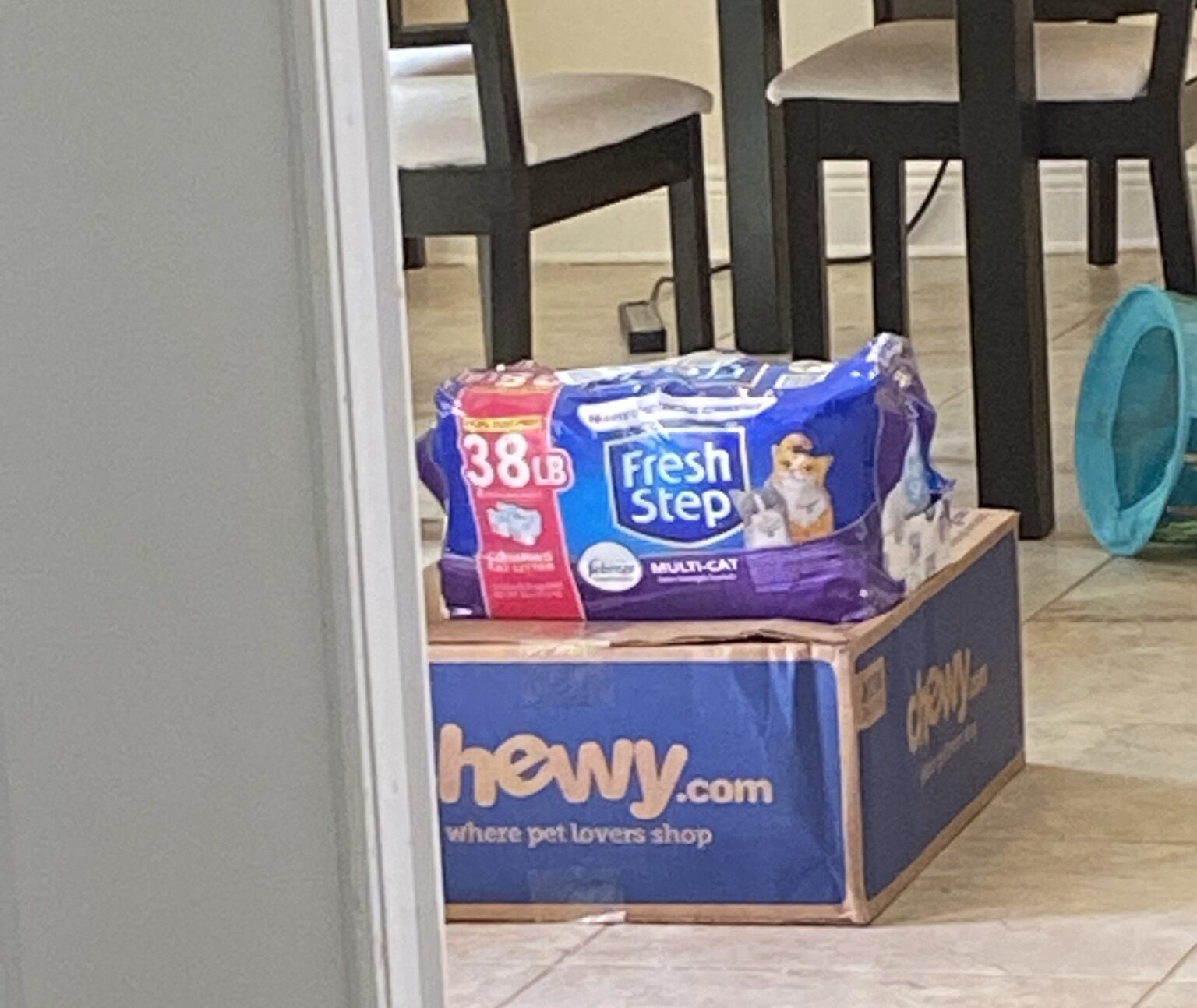 Litter Box Management in a 10-Cat Household