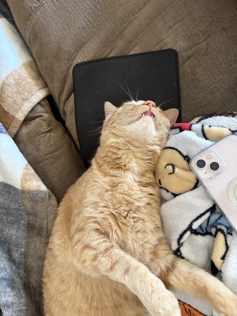 Pumpking stretched out with teeth showing.