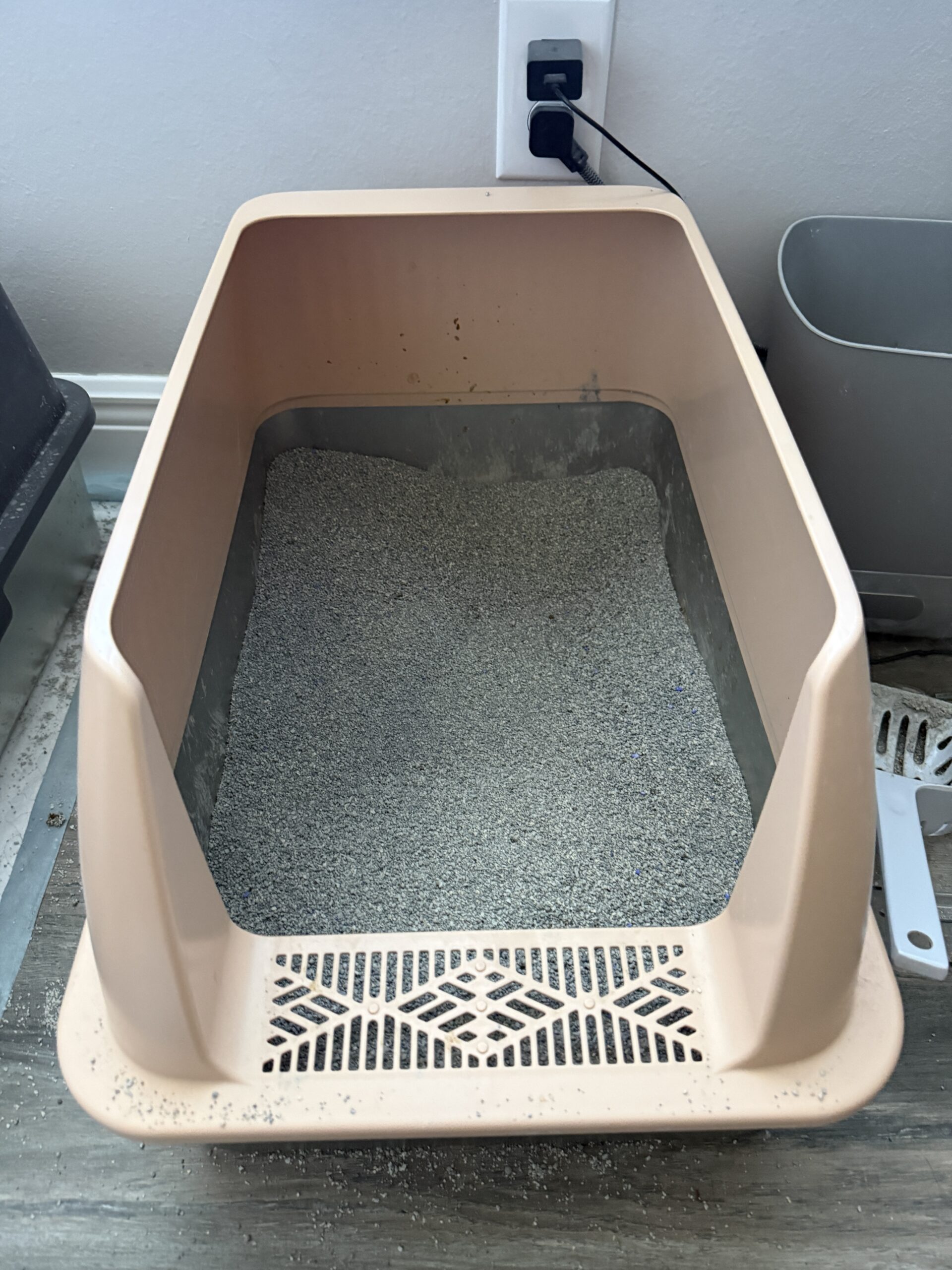 Chewy Made Cat Litter Review: Less Dust, More Deadlifting